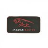 Jaguar Racing Pin Badge
