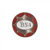 BSA Circular Star Pin Badge
