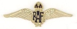 Royal Air Force Gilt Wings Boxed Pin Badge