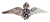 Royal Air Force Sweetheart Wings Brooch Pin Badge (Bright Nickel)