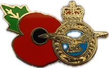 Royal Air Force Poppy Pin Badge